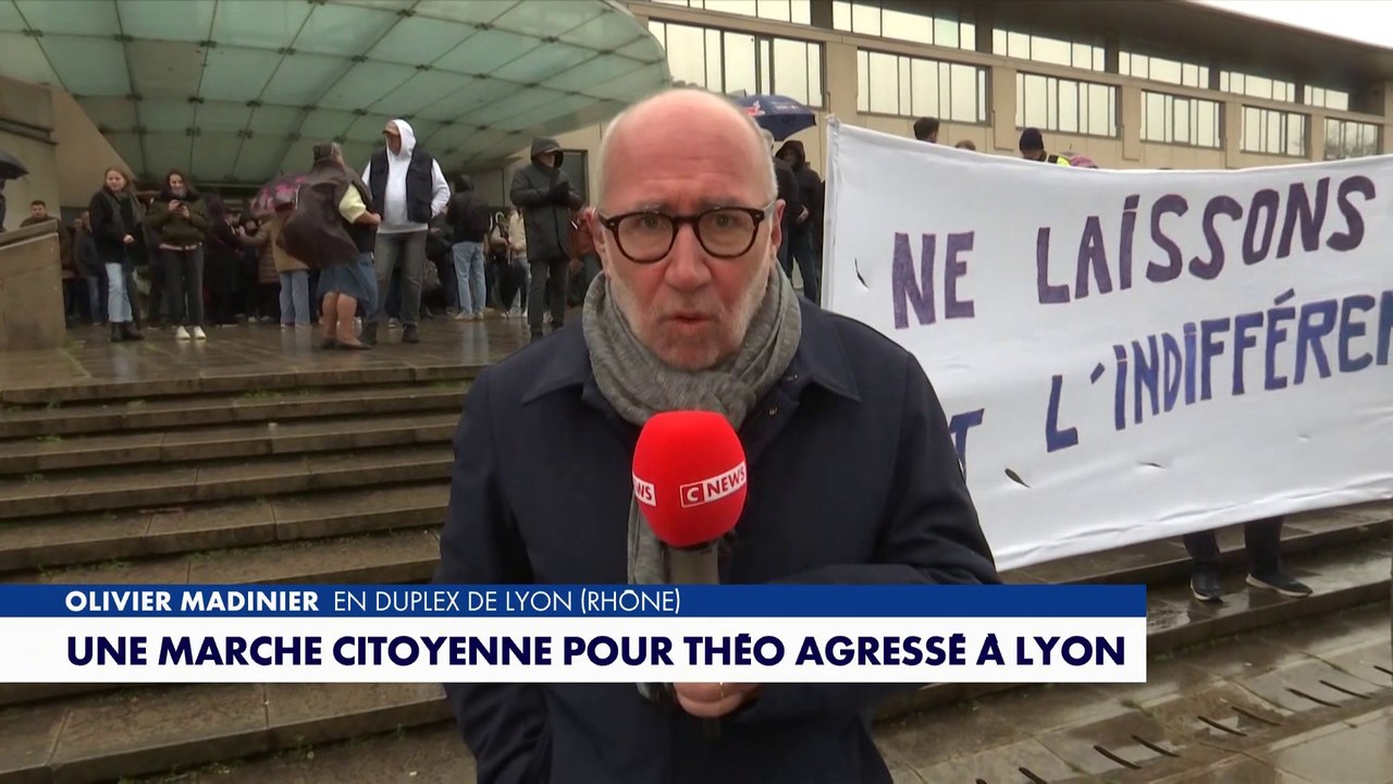 Lyon : une marche citoyenne organisée pour Théo violemment agressé par six jeunes