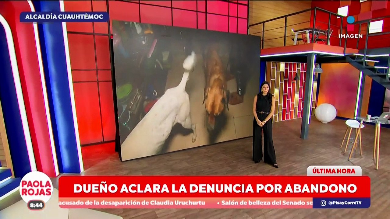  Dueño aclara la denuncia por abandono de mascotas | DPC con Paola Rojas