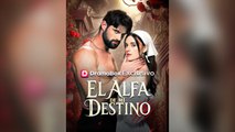 El Alfa De Mi Destino