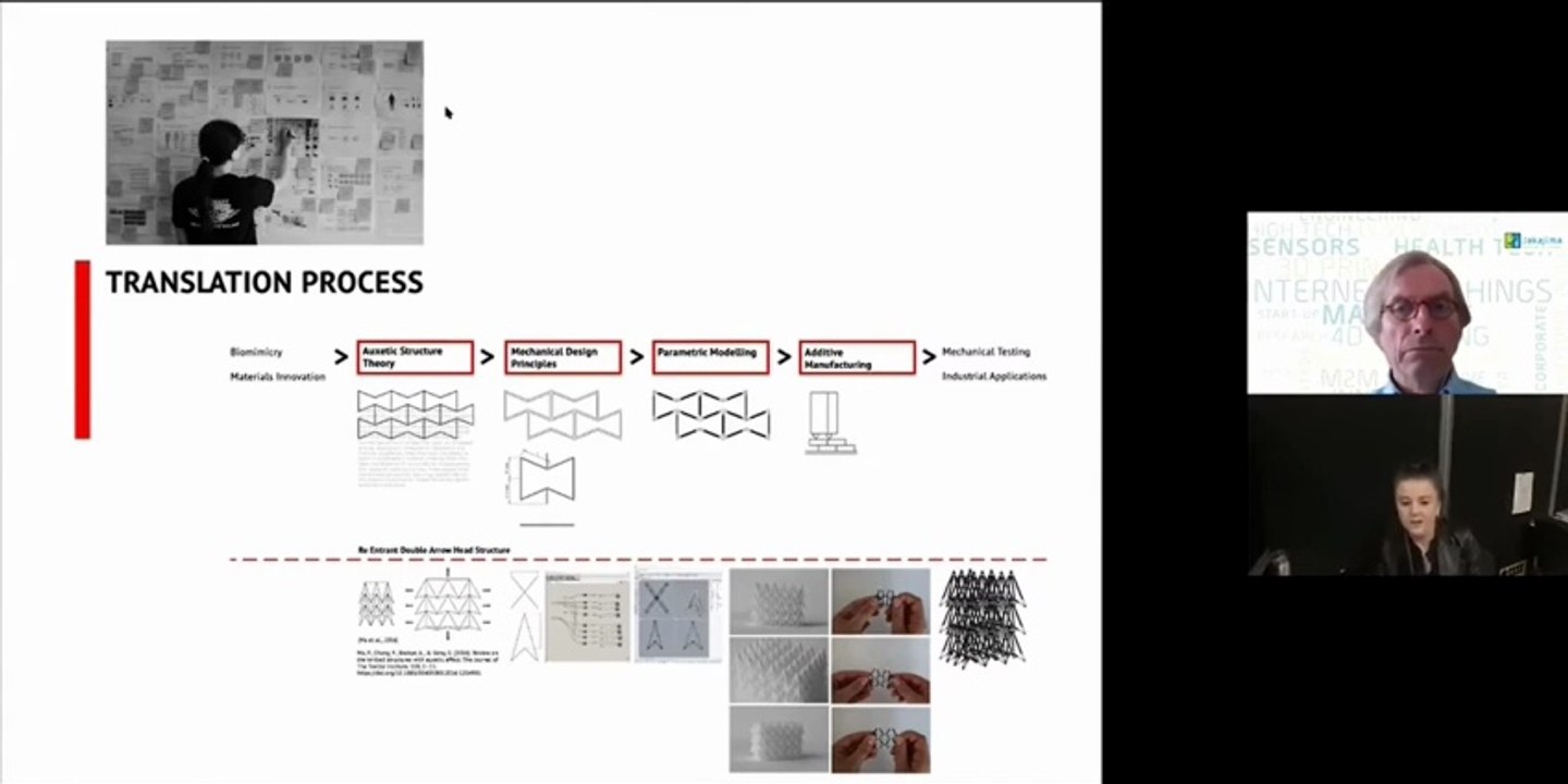 Brittany Mark, Translate Auxetic Structure Theory Into Am Multimaterial Performative Geometries(1)