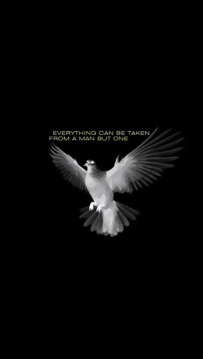Viktor Frankl: The Secret to Unbreakable Resilience ✨ #motivation  #wiseadvise #quotes