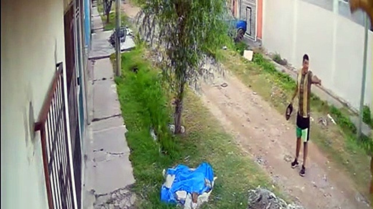 grabacion 2026-02-10 131438.mp4