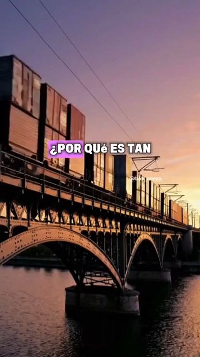política criminal