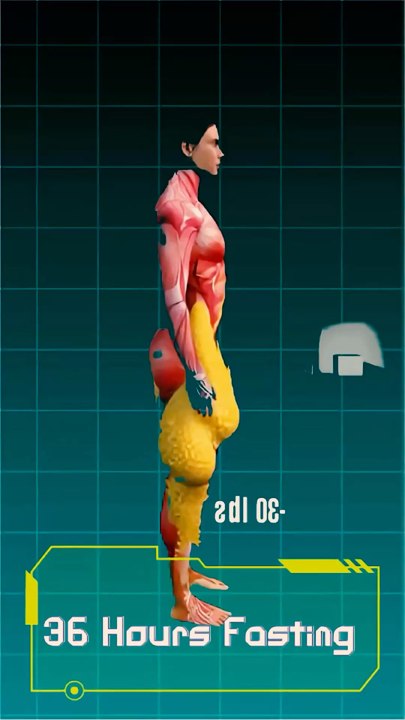 What Happens To Your Body If You Fast 36hr
