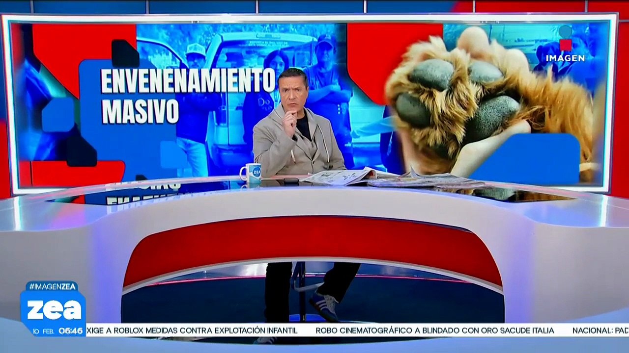 Vecinos de Gómez Palacio, Durango, denuncian envenenamiento masivo de perritos