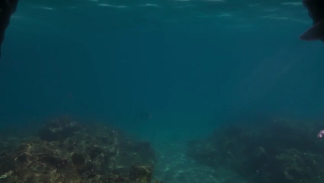 Les Dinosaures - saison 1 Bande-annonce VO