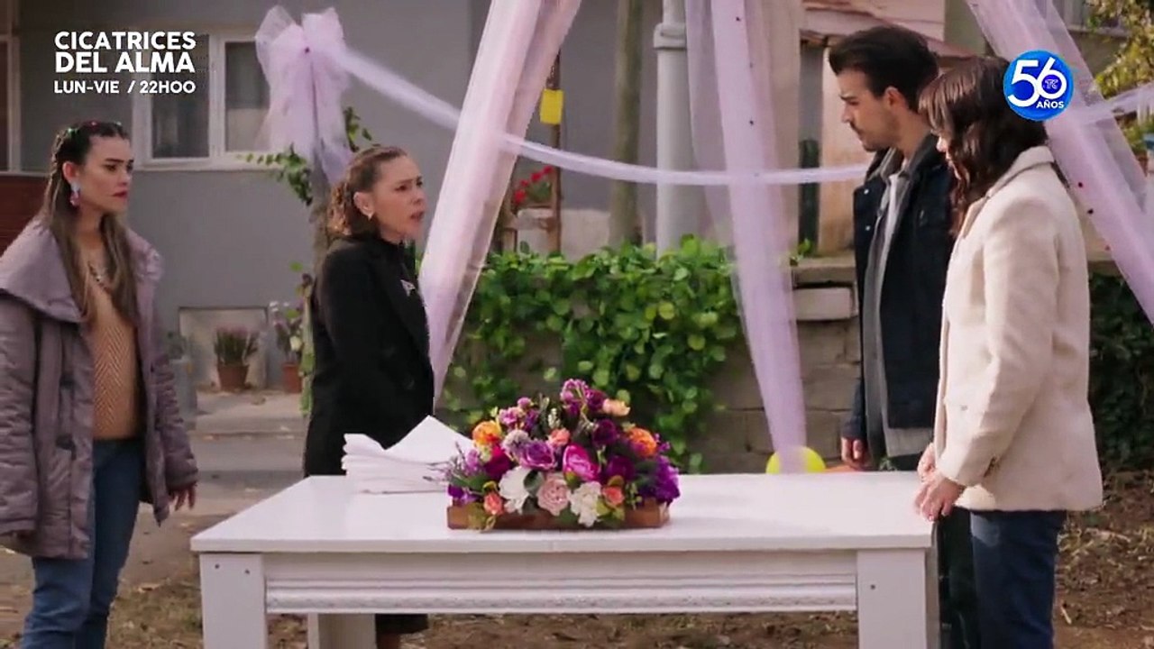 51. Destino Roto (Toprak Ile Fidan), en español