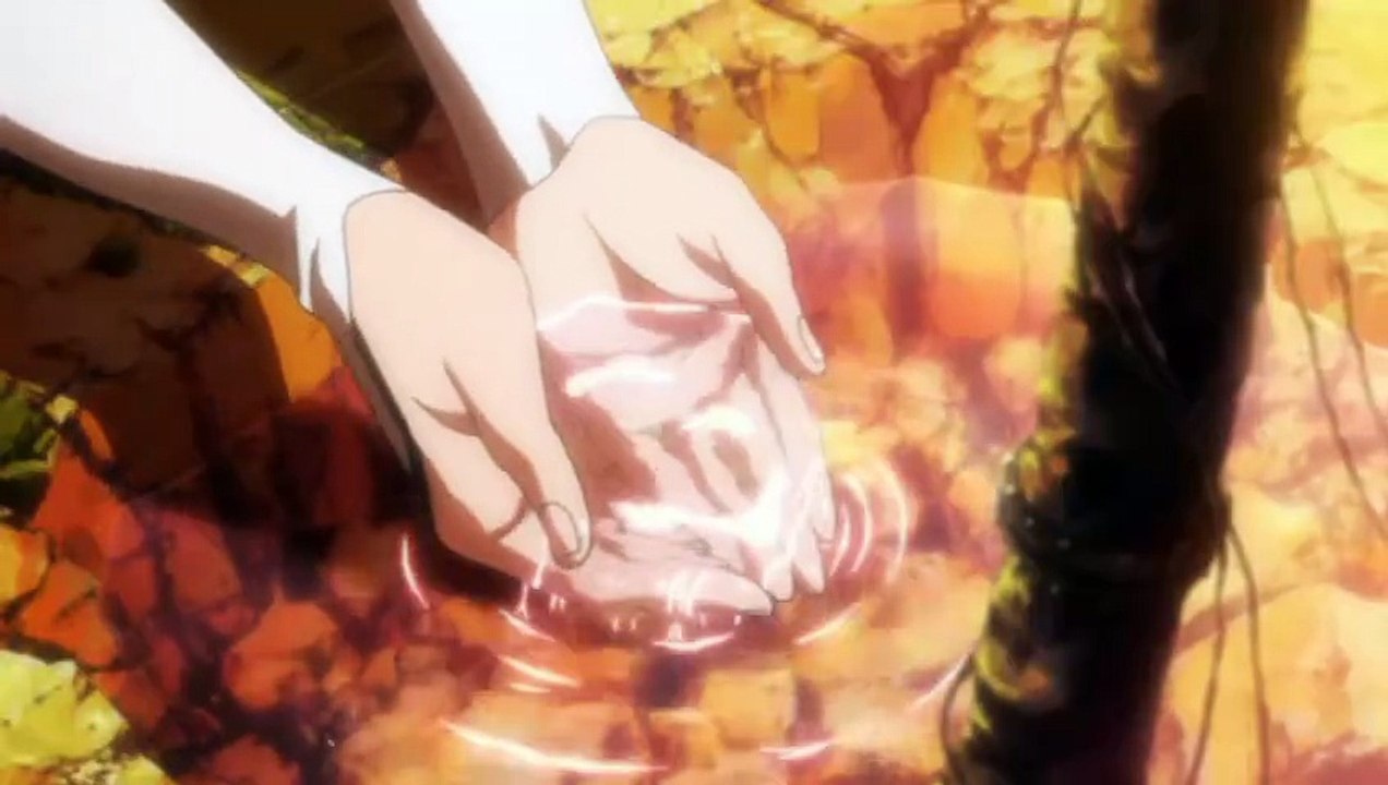 Bleach Ending 24