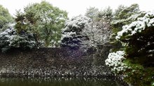 February 8, 2026, The East Gardens of the Imperial Palace in Tokyo