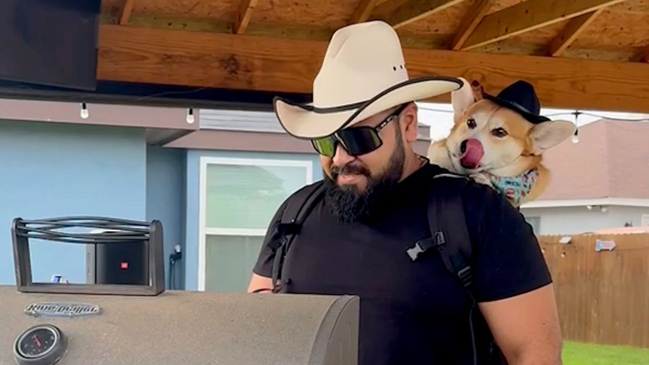 Corgi Knows When It's Time To Start Grilling And Chilling