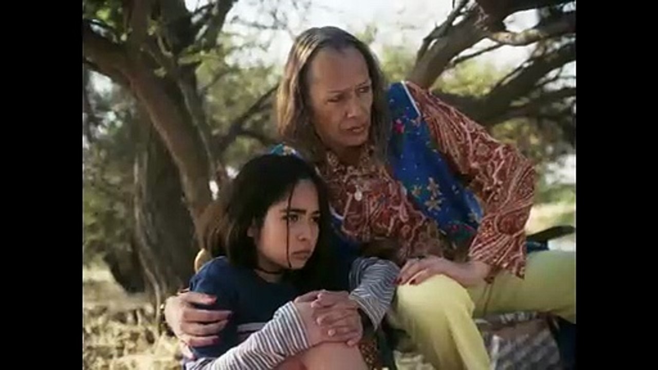 LE MYSTÉRIEUX REGARD DU FLAMANT ROSE Film