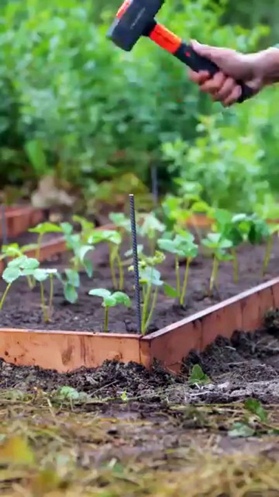L'astuce GÉ-NIALE pour arroser son jardin ! #DIY #Jardin #Astuce