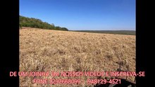 FAZENDA COM 232 ALQUEIRÃO A VENDA CMC