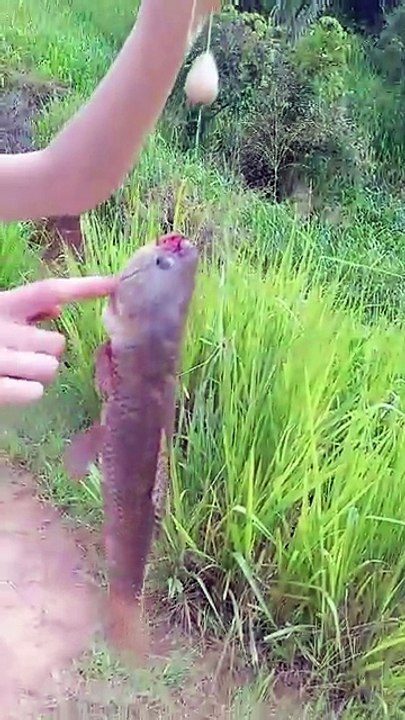 DIA DE PESCA
