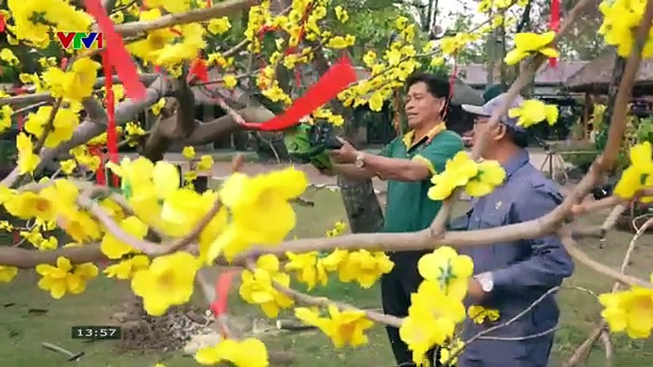 VTV1 | VTV kết nối: Chiều cuối năm "Việt Nam trong tôi" trên VTV1