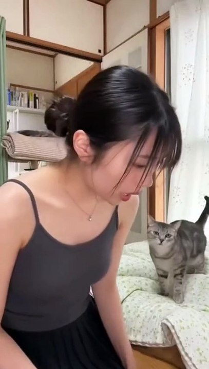 怒られる猫 #AI #sora2 #sora #chatgpt #AI美女 #AI美女比較
