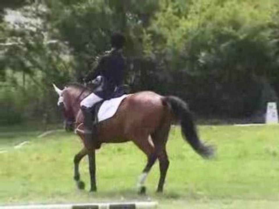 Reitturnier in Wermsdorf bei Leipzig