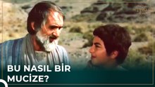 Hz. Yusuf(a.s) Ölüm Döşeğindeki Adamı İyileştirdi | Hz. Yusuf