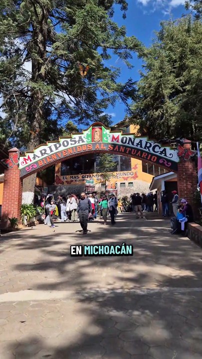 Santuario de la Mariposa Monarca El Rosario