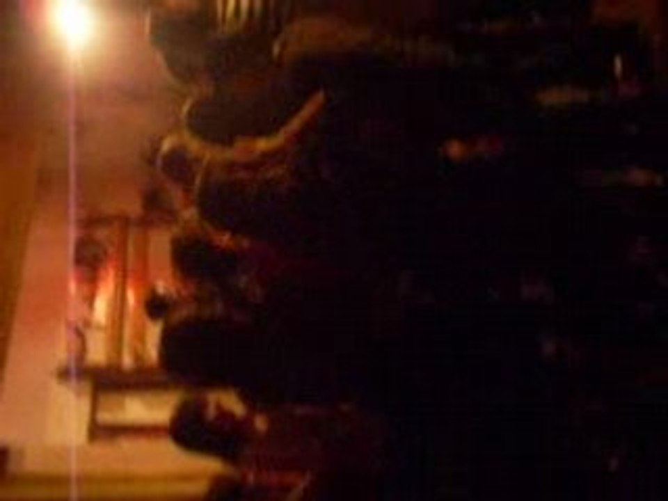 Video 231