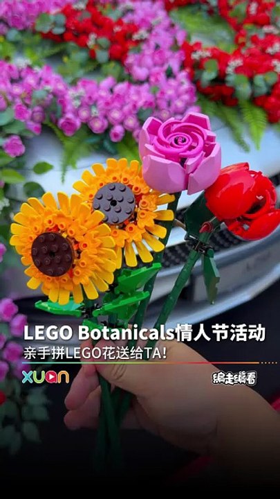 LEGO Botanicals情人节！亲手拼LEGO花送给TA！