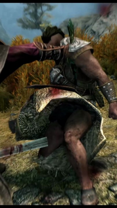 Skyrim Finisher KillMove on Lokey BAndit