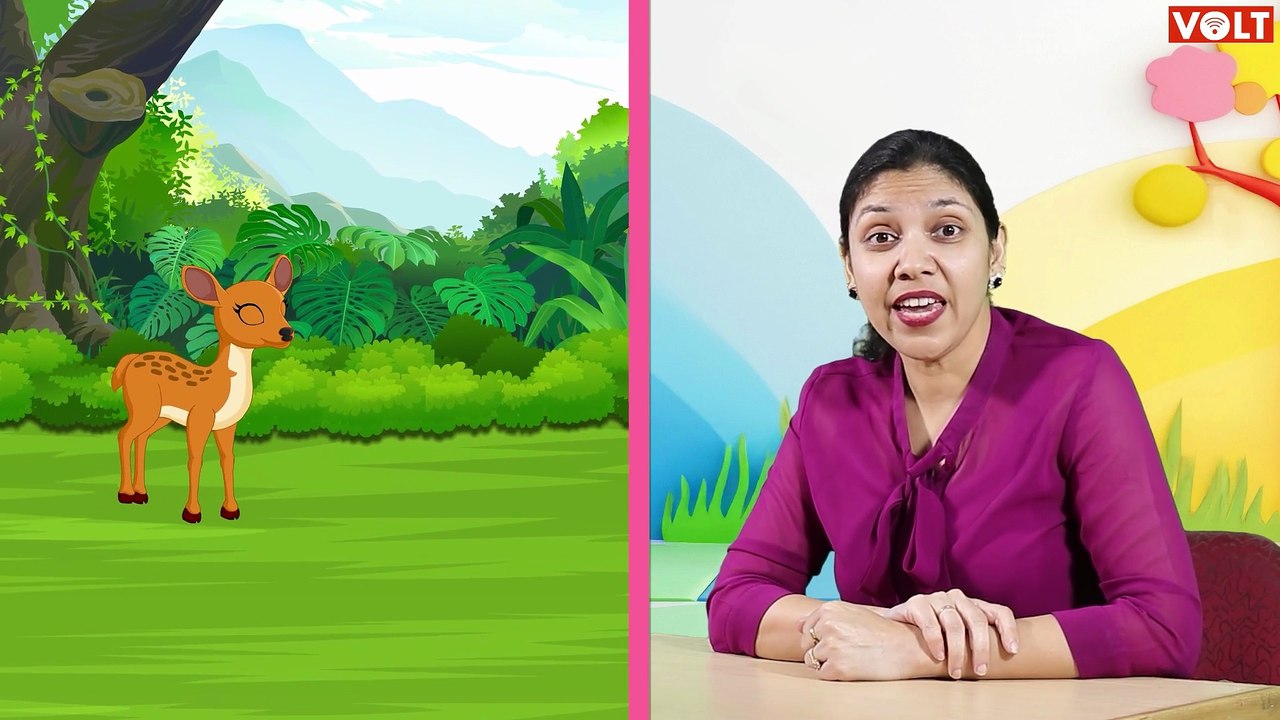 Long Sound E | Phonics Lesson for Preprimary | VOLT Learning