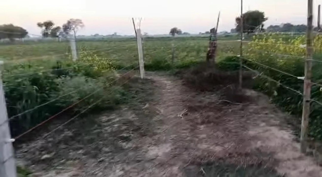 पंच मार्ग पर दबंगों का कब्जा, किसानों की खेतों...