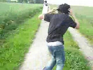 aie aie aie ramasse t dents