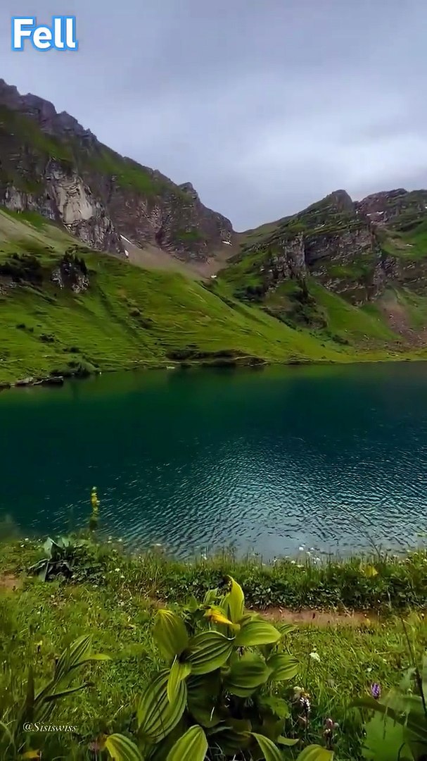 ⁣Sound of Birds Natural environment