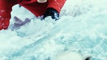 Man in Red Jacket Rescues Polar Bear Trapped in Ice – A Heartwarming Moment!”