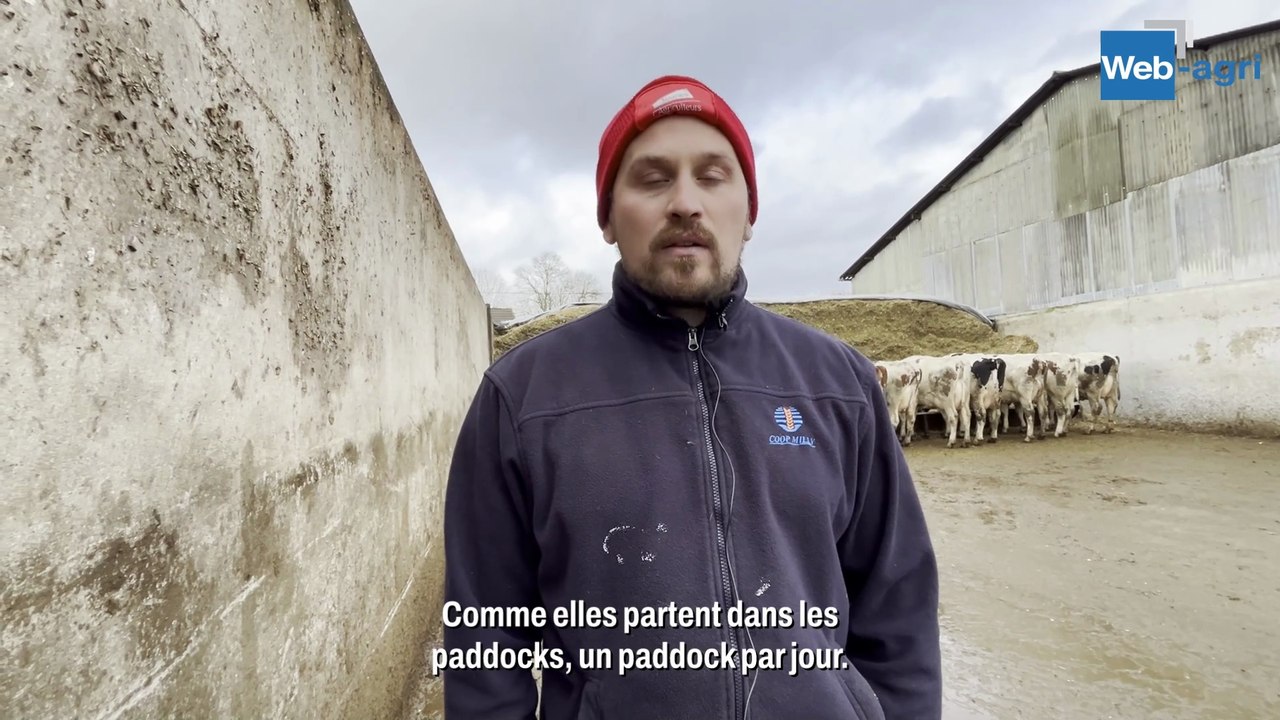 Un silo libre service pour limiter l'astreinte autour des vaches