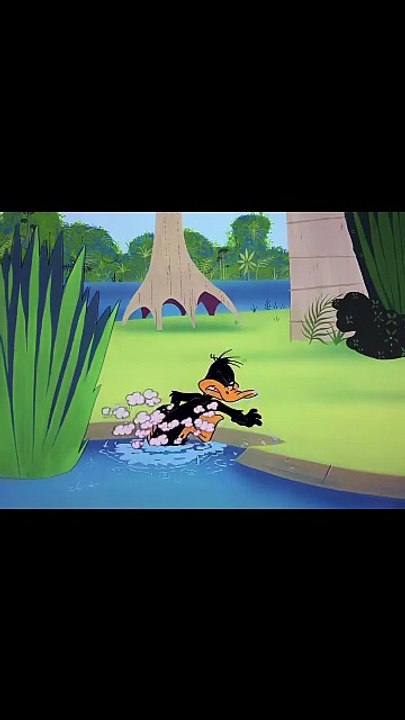 Looney toons
