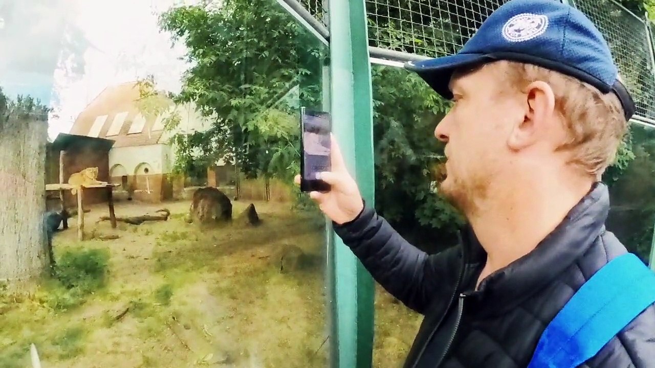 ZOO Budapest 2025