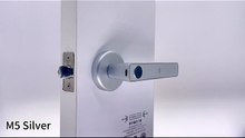 Smart Fingerprint Door Lock with Tuya App 🔐 61% OFF