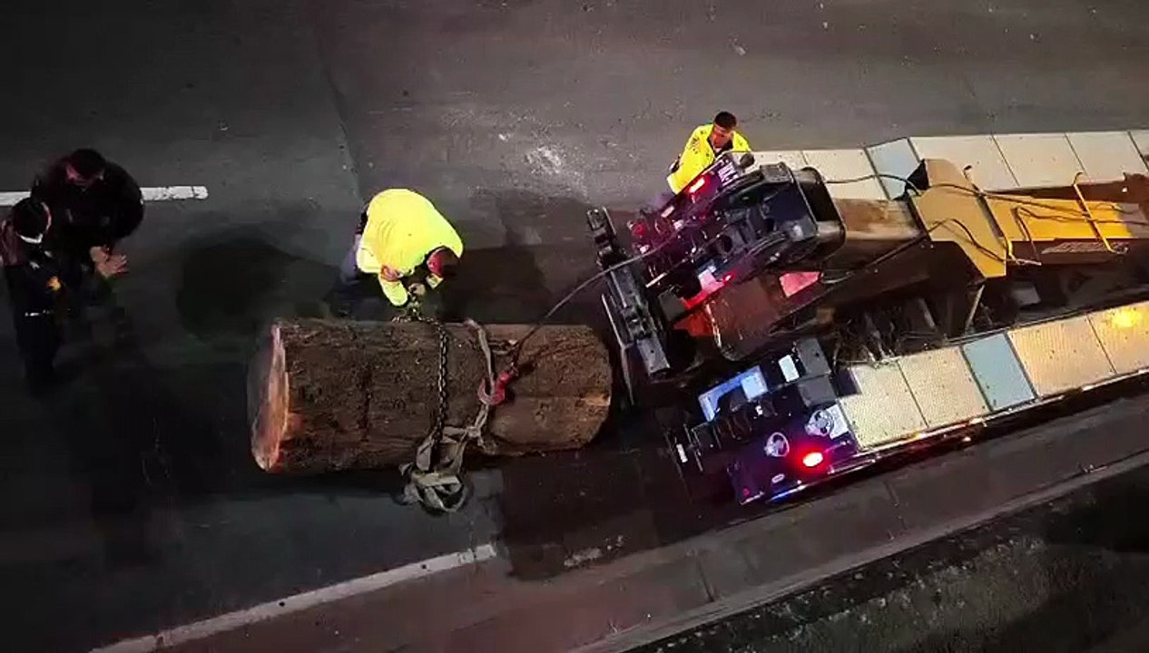 rescate Tráiler cargado con troncos colapsa la circulación en Constituyentes tras tirar carga