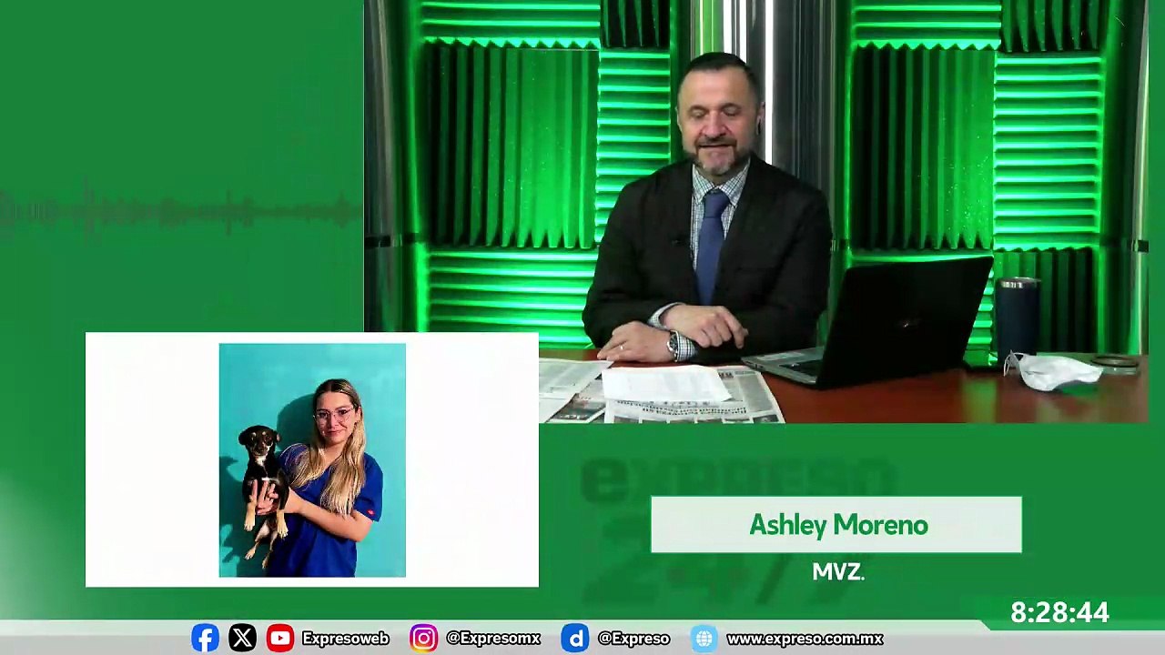 Noticiero Expreso 24/7 (2546)