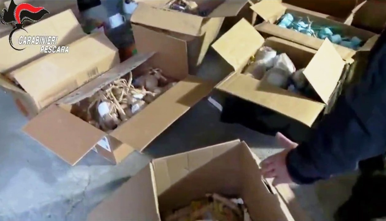 Pescara - Droga, esplosivi e armi, 12 arresti in operazione Last Delivery (11.02.26)