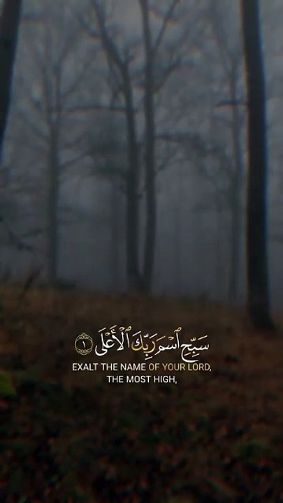 🌟 Surah Al-A‘lā (87:1–4) — سورة الأعلى⚡ Glorify the Name of Your Lord… The Most High 🕊️✨#love #Quran #viral #shorts #trending #youtubeshorts #fyp #short #SurahAlAla #Tasbeeh #Tawheed #IslamicReminder