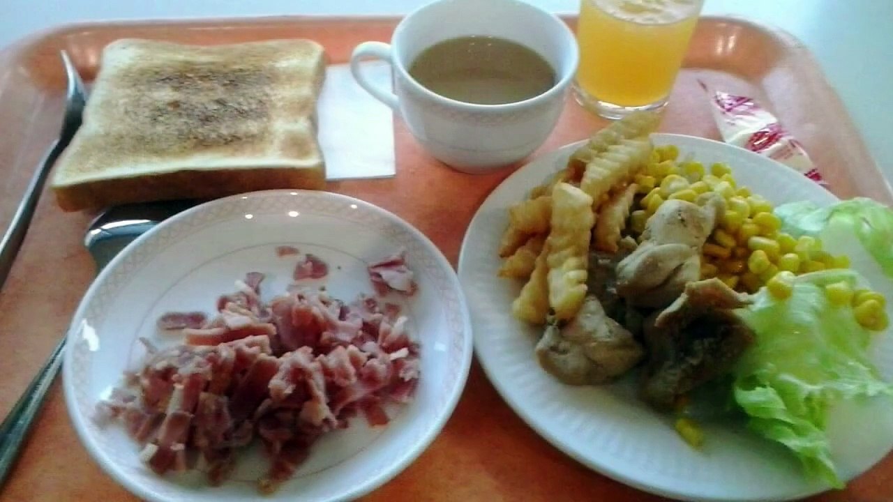 Sob as Cerejeiras do Japão 🌸 _ Uma Jornada Pela Cultura e Tradição Japonesa