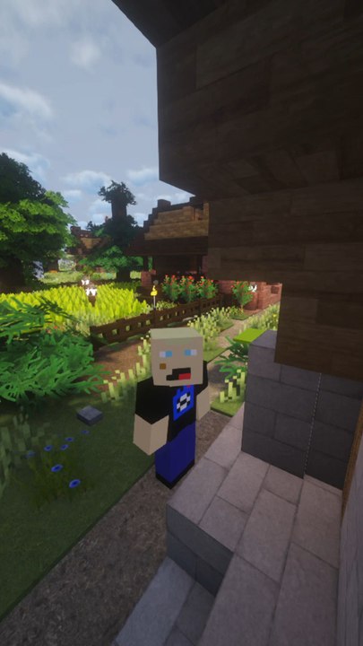 Quand un Kikoo décide de prendre toutes les pierres de ma maison ! 🤨