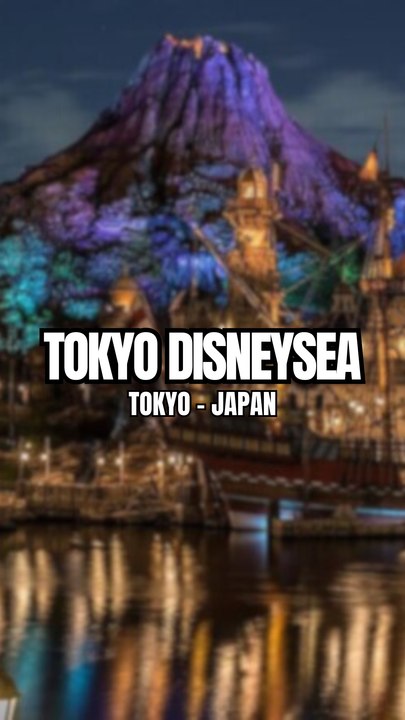 Access to Tokyo DisneySea Park ! 🎢🎡