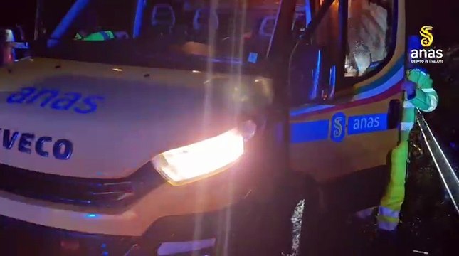 Serra San Bruno, cade un albero e investe un'auto in transito: conducente ferito