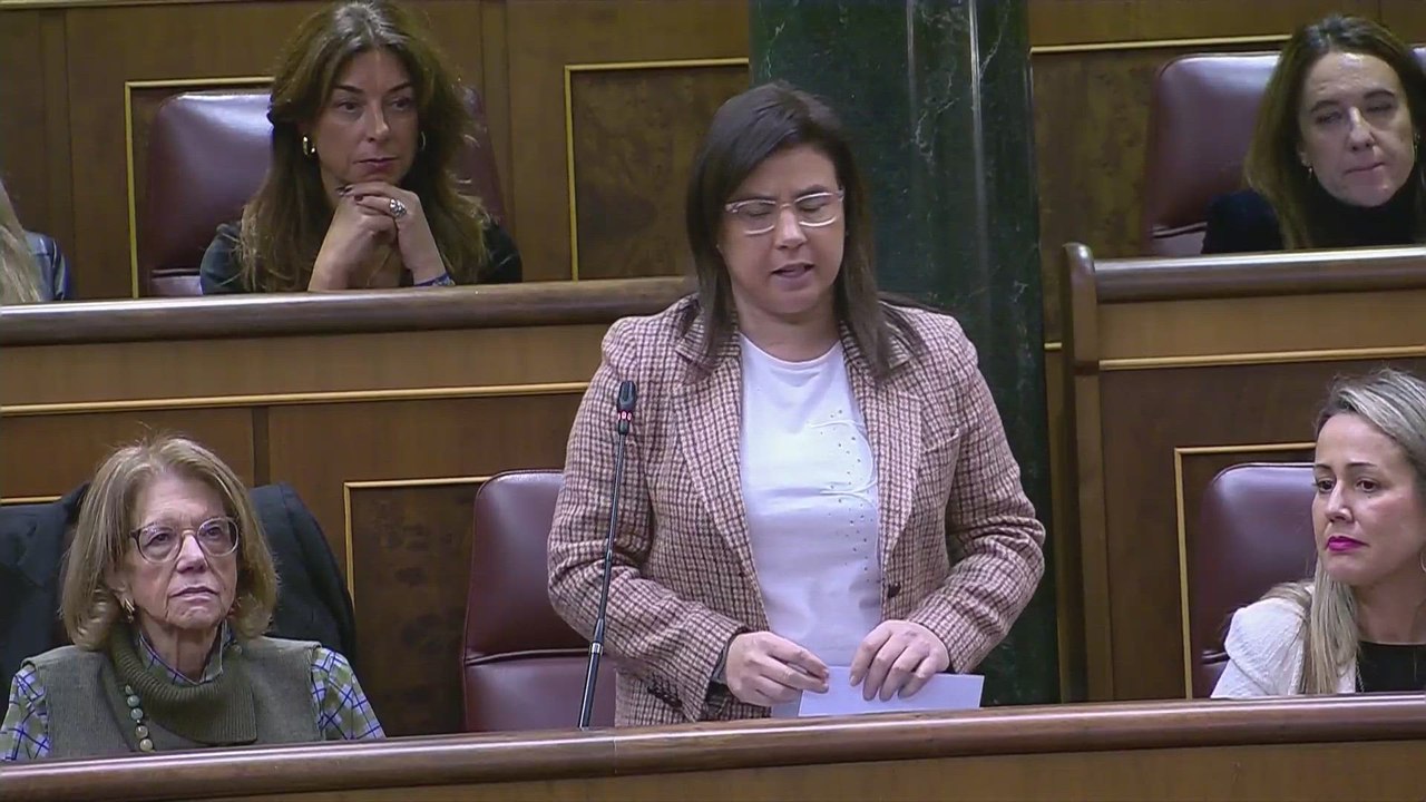 Marlaska asegura que la baliza V16 es un instrumento necesario para "salvar vidas"