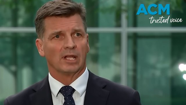 Angus Taylor resigns from Liberal frontbench to challenge Sussan Ley for leadership