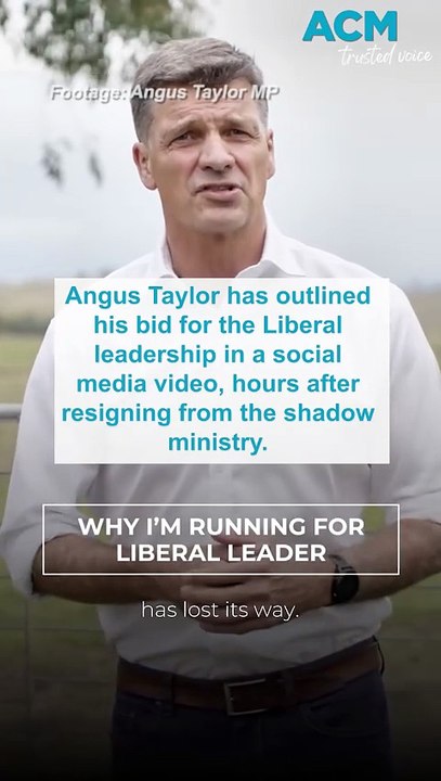 Angus Taylor launches Liberal leadership bid in paddock video pitch