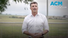 Angus Taylor's paddock pitch for Liberal leadership
