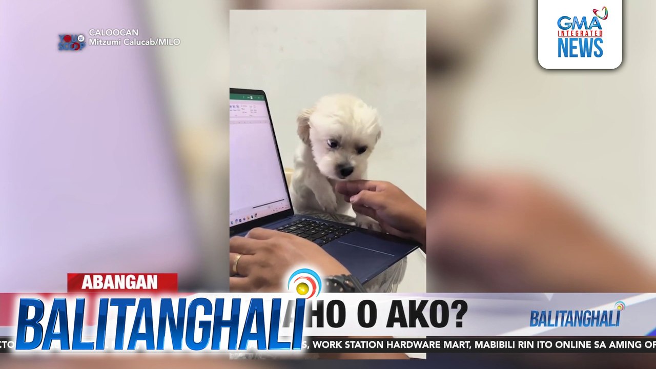 DFA - Wala pang inilabas na official announcement ang Canadian authorities ng pagkakakilanlan ng 8 nasawi sa pamamaril sa paaralan | Balitanghali