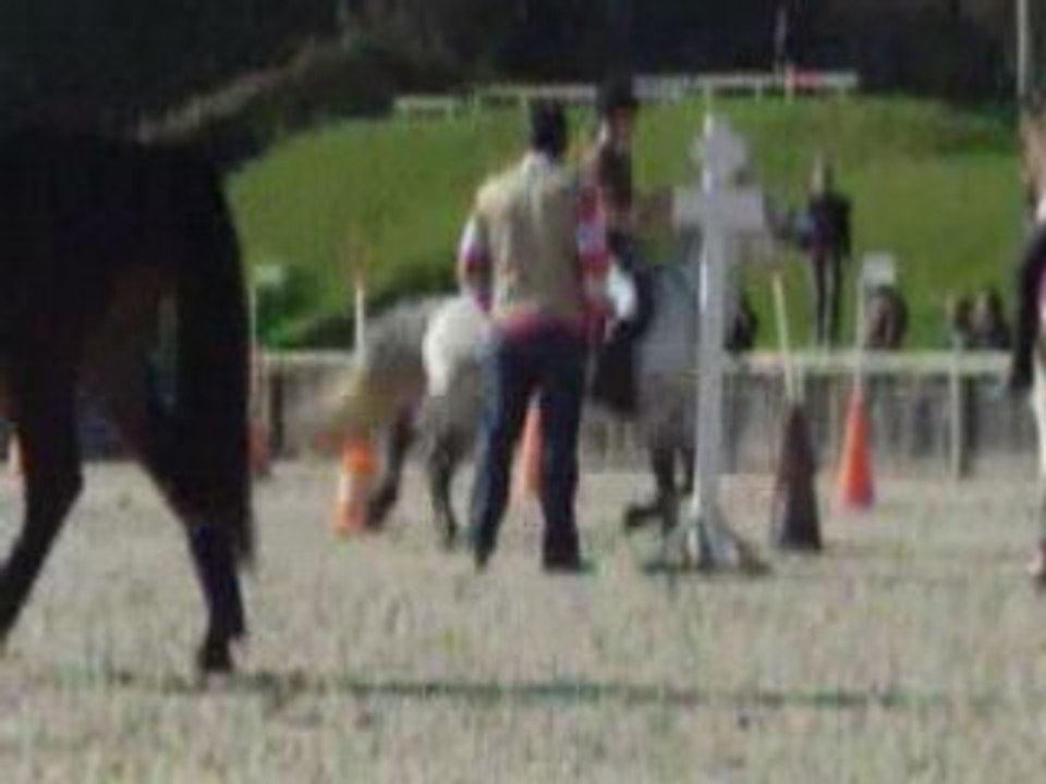 jeux equestre