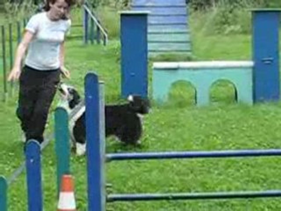 Agility 30 mai 159